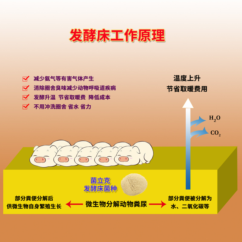 發(fā)酵床菌種